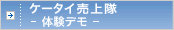 �P�[�^�C�����-�̌��f��-