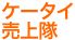 �P�[�^�C�����